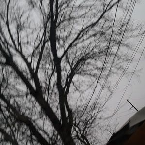 Meet your Posher, Jimena